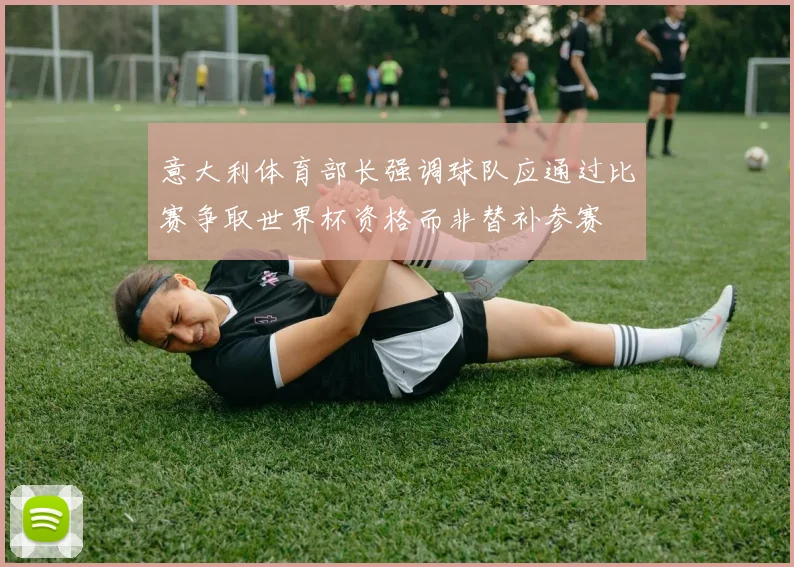 意大利体育部长强调球队应通过比赛争取世界杯资格而非替补参赛